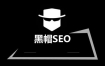 流量贩子GoGo闯：SEO黑帽快排教程的应用和编程技术课程(价值3666)