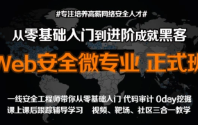 Web安全微专业—正式篇渗透/黑客/linux/网络安全/攻防/漏洞/kali