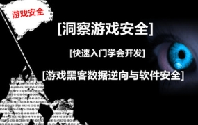 迪哥:游戏安全逆向工程师-入门到精通