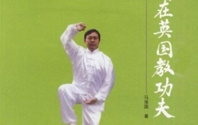 马保国:我在英国教真功夫(耗子尾汁)