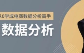 2020年助你从0开始学成电商数据分析高手(课件打包)