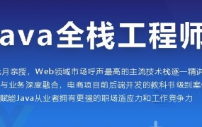 java全栈工程师,高级电商全栈系统大课