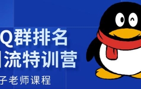 胜子《QQ群排名引流》