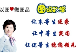 王乃向图说数学,(初级版+中级版+高级版)完整课