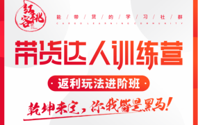 红桃客:带货达人返利训练营,价值688元