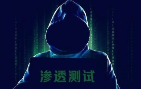 渗透攻击直播高级班,价值万元