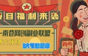 南巷网创副业联盟课程合集,价值598元