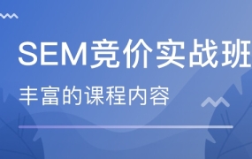 艾课网SEM课程,共二十多套