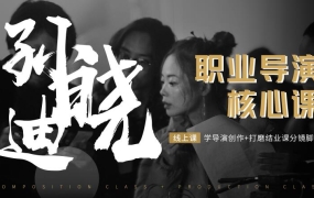 孙晓迪·职业导演核心课,价值6299元
