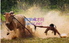 股哥训练营·只会炒股(20-23期),价值4999元