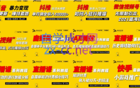 2022聚蚁思维高级合伙人vip会员课程合集【更新】