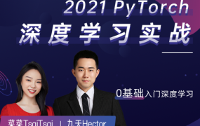 2021PyTorch深度学习实战,价值1799元