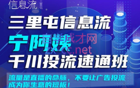 三里屯信息流宁阿姨千川投流速通班【第二期】,价值2380元
