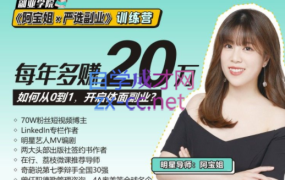 《阿宝姐×严选副业》训练营【Plus版】12期
