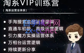 【寒冰亲授】淘系运营VIP体系,价值1899元