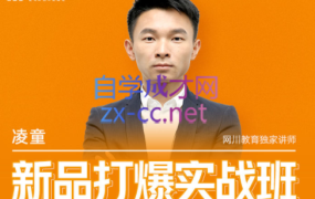凌童·淘宝新品打爆实战班,价值599元