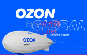 老迟·OZON本土电商精品课,价值3999元