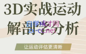 自然运动学院·3D实战运营解剖学分析,价值3980元
