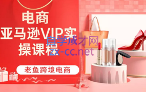 跨境老鱼·TIKTOK+速卖通+虾皮+亚马逊+Shopify【2022合集】