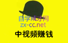 逆冬·中视频赚钱陪跑,价值599元