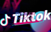 猴哥·TikTok海外短视频线上陪跑训练营，价值3980元