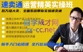 萧峰老师·速卖通精英实操班(更新2023年)