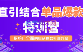 阿呆·直引结合单品爆款特训营(第一期),价值2980元