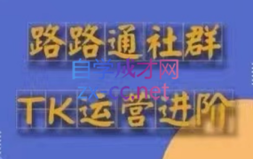 路路通·跨境TikTok全套课程(更新31期)