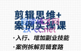 南门录像厅·剪辑思维+商业项目实操+素材(更新2023)