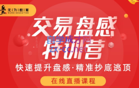 无为投资-交易盘感特训营259期