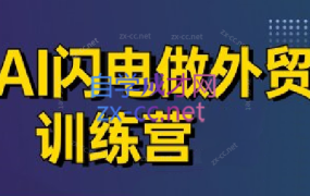 大卫·AI闪电做外贸训练营(更新7月)