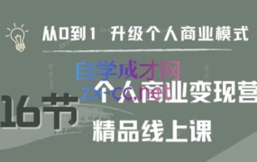 大表姐·个人商业变现营精品线上课
