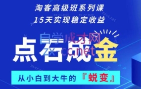 徐蔗老师·淘宝客高级班系列课
