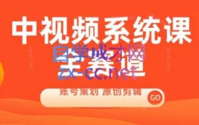 馒头老师·中视频系统课程