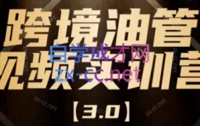 阿蔺Leo·跨境油管视频YouTube实训营(更新2025)