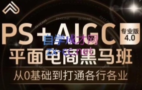 飞哥·PS+AIGC平面电商视觉黑马班