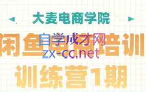 大麦电商·闲鱼电商培训训练营(第1期)