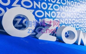 森哥·出海俄罗斯电商实操(2024)