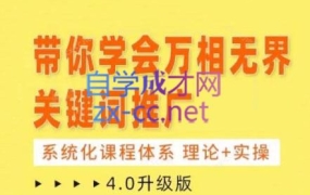 震宇老师·无界直通车实操系统课程(4.0)