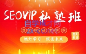 燃灯SEO搜索学院·百度SEOVIP私塾班(更新12月)