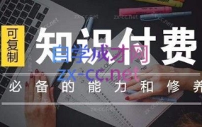 君哥·IP合伙人知识付费虚拟项目(更新)