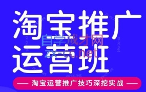 美迪电商·淘宝高级运营班+推广运营班(更新10月)