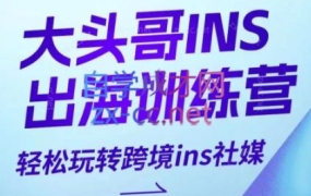 大头哥·instagram跨境出海自然流社媒训练营
