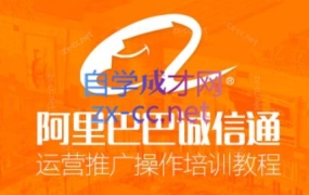 飞虎老师·阿里巴巴系统运营实战训练营(更新4月)