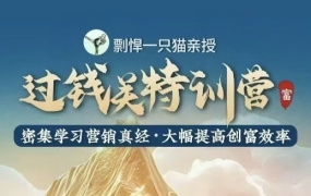 剽悍一只猫·过钱关特训营