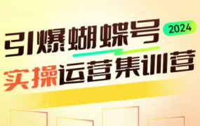 交个朋友·2024引爆蝴蝶号实操运营(共72节)