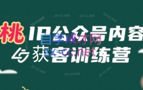 桃子·IP公众号内容获客训练营