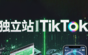 交个朋友·2025独立站全栈运营+TikTok达人全流程实操