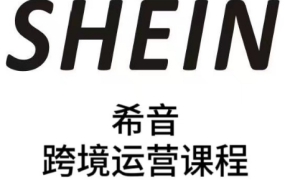 SHEIN全流程运营实战课