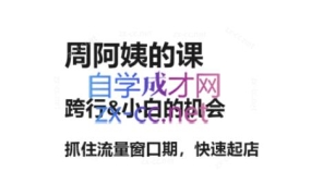 周阿姨·水晶课【二期】(更新2025)